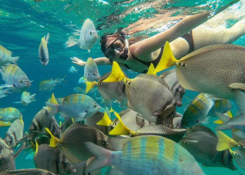 Los Cabos Arch & Lover’s Beach Tour + Snorkeling Tour - Included value: boat tickets, sodas and water, snorkel gear, and life jackets