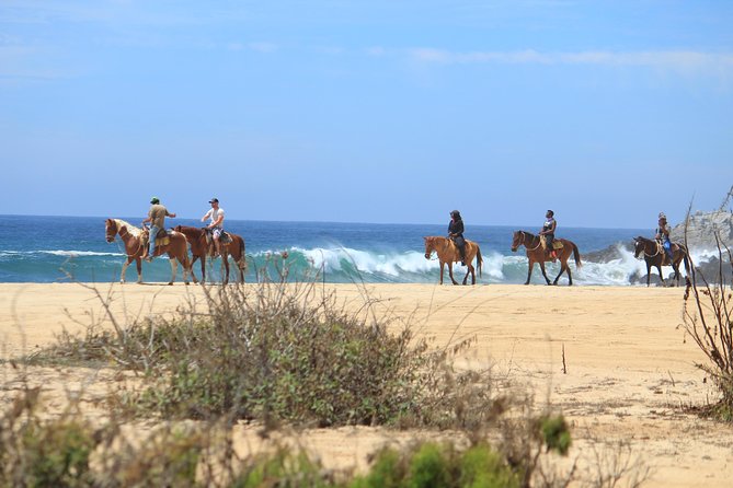 Los Cabos ATV and Pacific Horseback Riding Combo Tour - Getting to Rancho Carisuva: pickup, drive time, and what 4 hours means