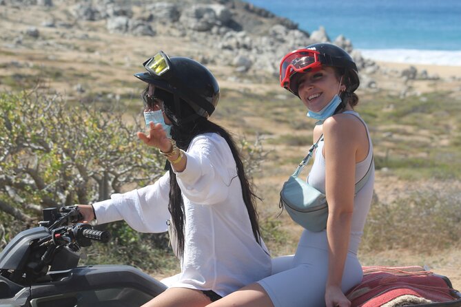Los Cabos ATV and Pacific Horseback Riding Combo Tour - The animal rescue angle at Carisuva: donkey rescue and turtle egg support