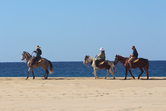 Los Cabos ATV and Pacific Horseback Riding Combo Tour - What to expect from the guide and the ride order