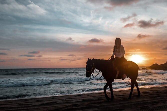 Los Cabos ATV and Pacific Horseback Riding Combo Tour - Who should book this ATV plus Pacific horseback combo