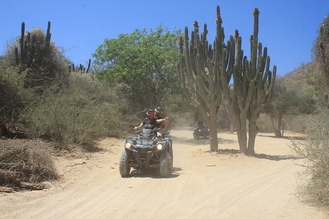 Los Cabos Beach & Desert Tour in Automatic ATV + Tequila Tasting - Desert trails and the cactus stop you will remember on the way home