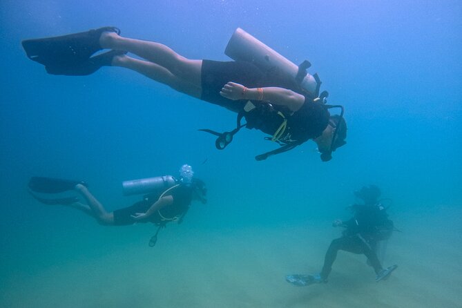 Los Cabos Beginner Scuba Dive Experience - Quick hits before you book
