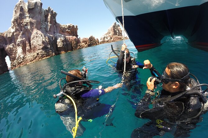 Los Cabos Beginner Scuba Dive Experience - The training that makes first time scuba feel manageable