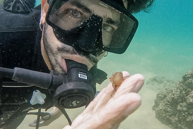 Los Cabos Beginner Scuba Dive Experience - Getting to the meeting point without stress