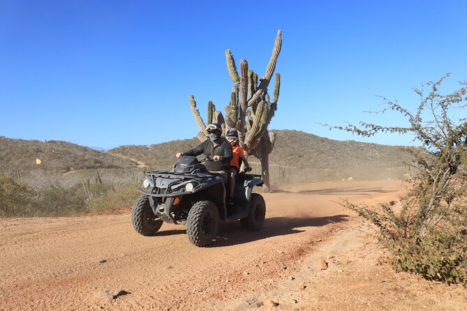 Los Cabos - COMBO Horseback Riding & ATV Tour - Pickup, Meeting Point, Timing, and the Rules That Affect Your Day