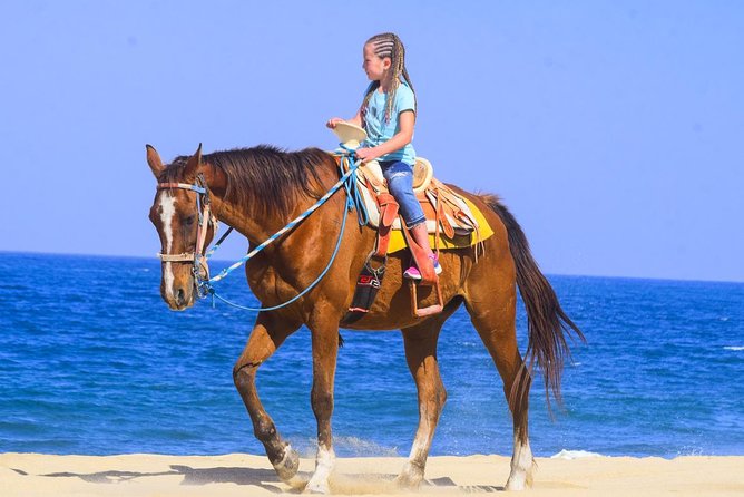 Los Cabos - COMBO Horseback Riding & ATV Tour - Margaritas Beach and How the Stops Shape the Experience
