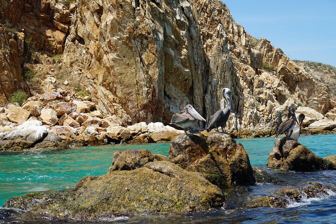 Los Cabos Deluxe City Tour: San Jose, San Lucas and The Arch - Cabo San Lucas Arch Time: Iconic Photos Without Needing a Helicopter