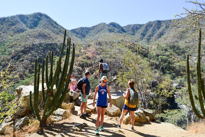 Los Cabos: Hiking at the Fox Canyon with Waterfall - Who This Tour Suits Best, and Who Might Not Love It