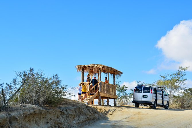 Los Cabos: Hiking at the Fox Canyon with Waterfall - Should You Book Fox Canyon With Waterfall Hiking in Los Cabos?