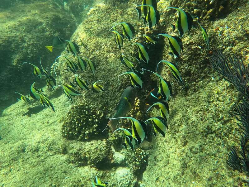 Los Cabos: Kayak to The Arch & Snorkel + Transport & Photos - Who should book this Los Cabos kayak and snorkel, and who should skip