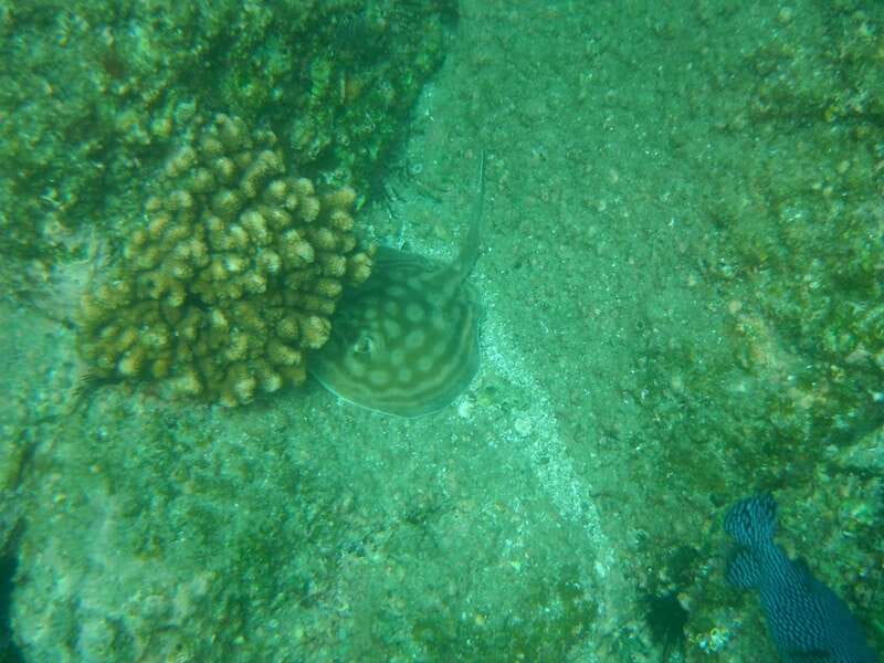 Los Cabos: Kayaking and Snorkeling in Two Pristine Bays - Around the point to Chileno: waves, caves, and a steady second paddle