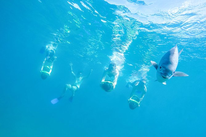 Los Cabos Power snorkel Adventure, Kayaking and Stand-Up Paddle - Key highlights to know before you go