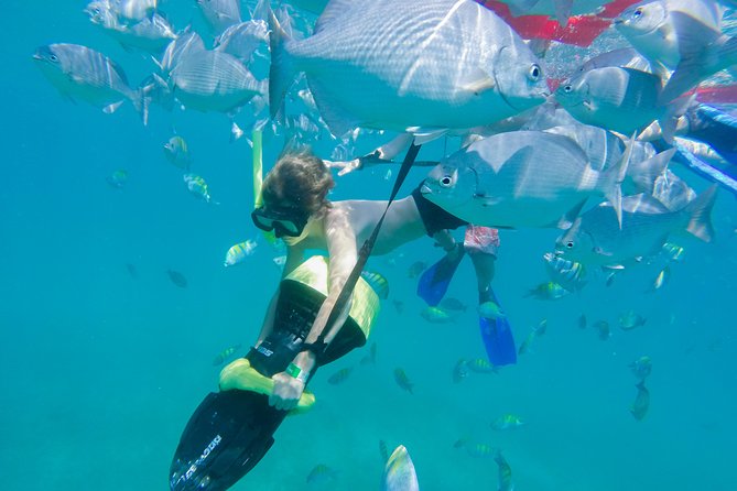 Los Cabos Power snorkel Adventure, Kayaking and Stand-Up Paddle - Playa El Chileno waters: snorkeling odds and what to watch for
