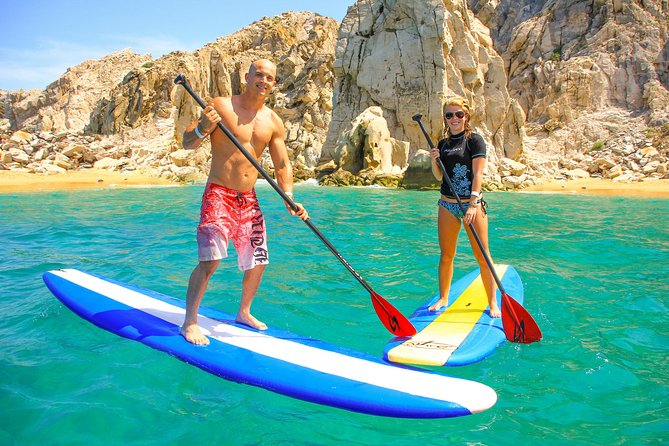 Los Cabos Power snorkel Adventure, Kayaking and Stand-Up Paddle - Wildlife spotting: whales, turtles, rays, and the season question