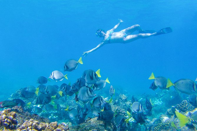 Los Cabos Power snorkel Adventure, Kayaking and Stand-Up Paddle - Food, snacks, and how hungry you should plan to be