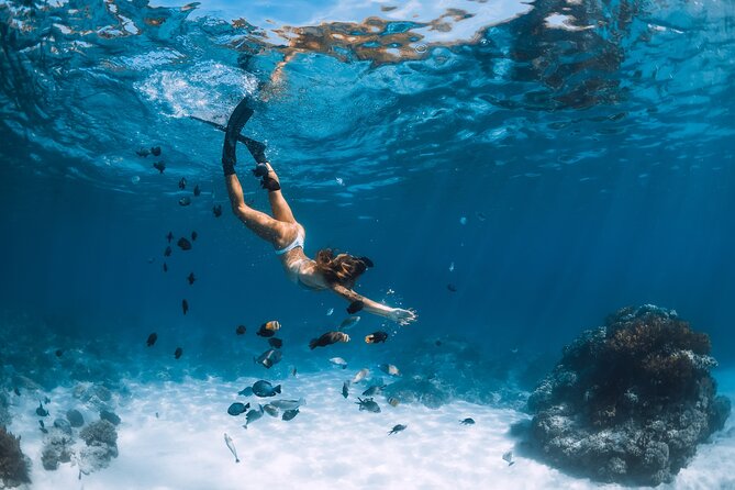 Los Cabos Power snorkel Adventure, Kayaking and Stand-Up Paddle - Price and what you really pay for the $99 ticket