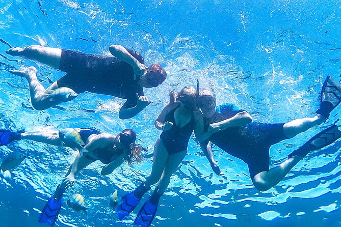 Los Cabos Snorkeling Tour by Speed Boat with Photos Included - Marine Life Chances: Whales, Sea Turtles, Stingrays, and More