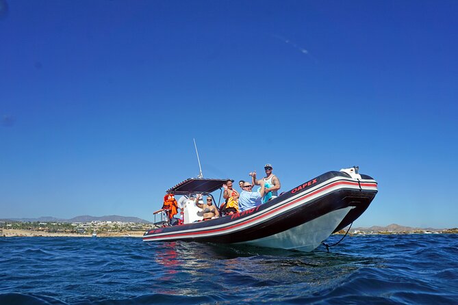 Los Cabos Snorkeling Tour by Speed Boat with Photos Included - The Photo and Video Package: The Real Money Saver