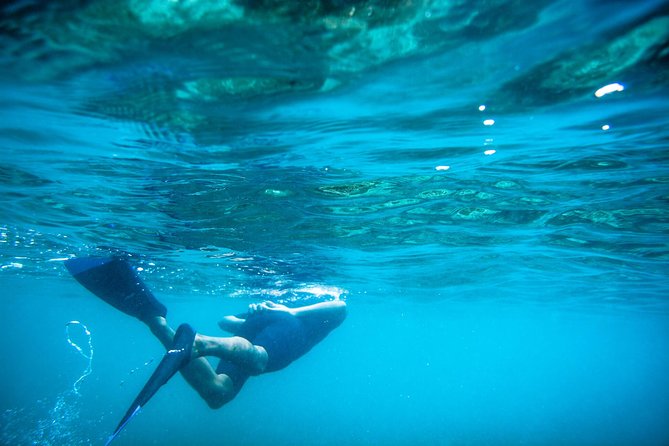 Los Cabos Snorkeling Tour to Chileno Bay and Santa Maria Cove - Santa Maria Beach Stop: Clear Water and the Best Starter Snorkel