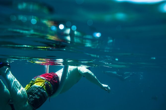 Los Cabos Snorkeling Tour to Chileno Bay and Santa Maria Cove - Pickup, Meeting Point, and the Small-Group Pace from Plaza Gali