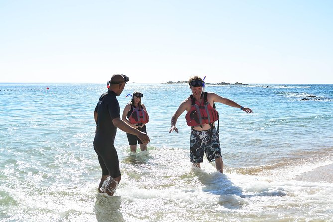 Los Cabos Snorkeling Tour to Chileno Bay and Santa Maria Cove - Wetsuit Size, Cold Water, and How Guides Help You Feel Ready