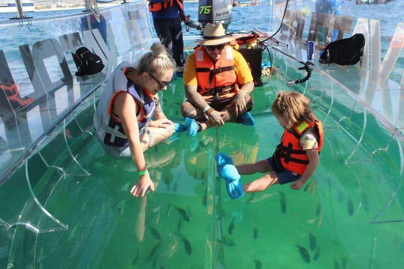 Los Cabos: Transparent Boat Tour with Optional City Tour - Key highlights at a glance