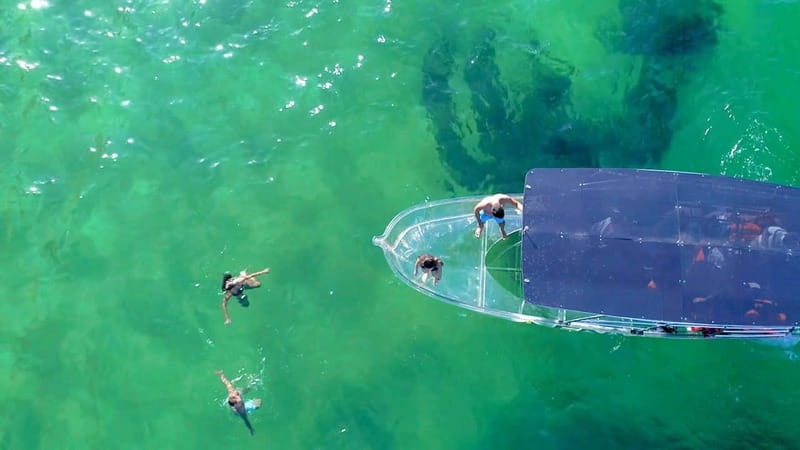 Los Cabos: Transparent Boat Tour with Optional City Tour - Price and logistics: what $34 really gets you