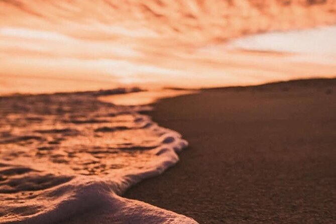 Los Cabos turtle release conservation program - The turtle release moment, what you’ll do and what to watch for