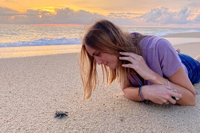 Los Cabos turtle release conservation program - Logistics in Cabo: pickup timing, transport time, and where the van meets you