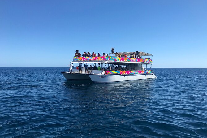 Los Cabos Whale Watching Cruise Including Breakfast - Breakfast on Board Plus Open Bar: What Makes the Price Feel Fair