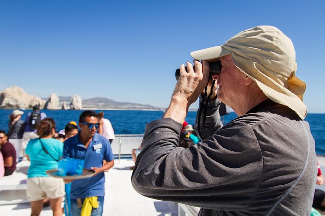 Los Cabos Whale Watching Cruise Including Breakfast - Price, Value, and Extra Fees to Plan For