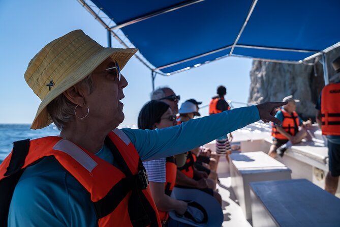 Los Cabos Whale Watching (Transportation and Pictures Included) - Price and value: $90 for a full morning on the water