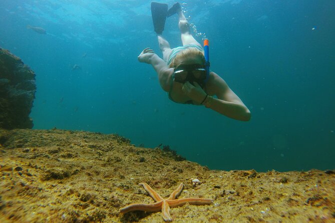 Luxury 42' Yacht Tour in Cabo for Snorkeling and Sunset - Paddle Boarding and Snorkeling at Your Pace (Not a Rush)