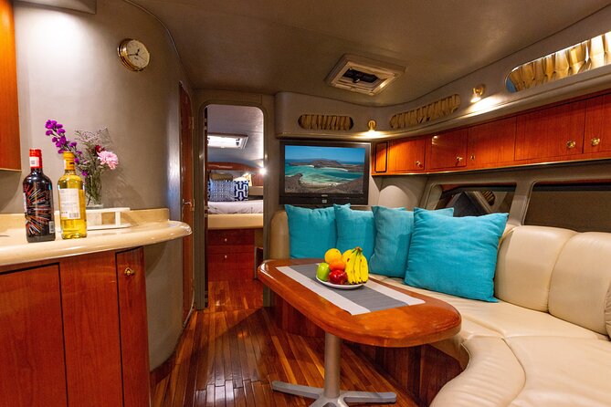 Luxury 42' Yacht Tour in Cabo for Snorkeling and Sunset - Coastline Cruise First: Sea Lions, Land’s End, and Cabo’s Arch