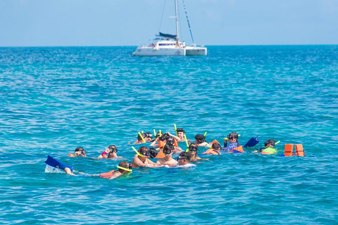 Luxury Catamaran tour to Isla Mujeres with transportation from Playa del Carmen - Getting to the boat from Playa del Carmen (and why the meeting point matters)