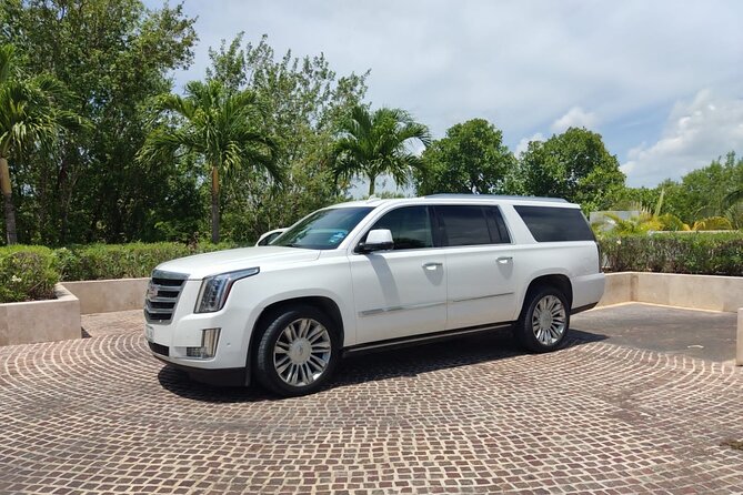 Luxury one way Cancun transfer from Cancun airport - Alejandro and Alex: What Drivers Get Praised For