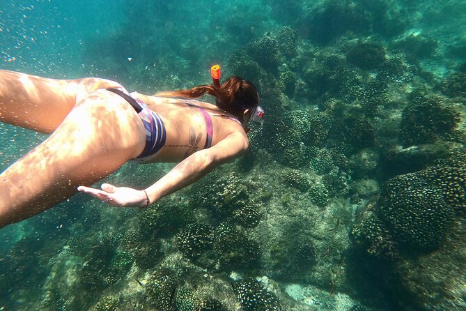 Luxury Snorkel Adventure in Cabo - A VIP-style Cabo catamaran, built for easy comfort