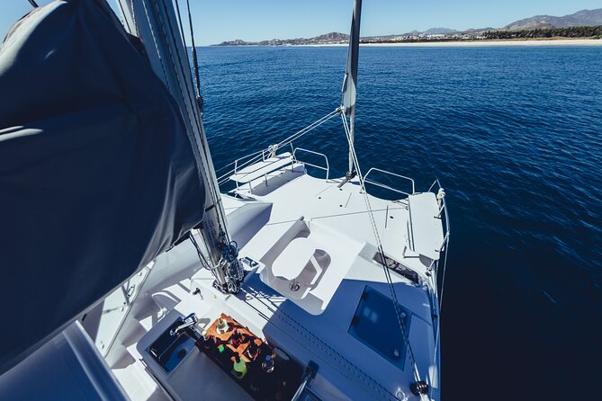 Luxury Whale Watch Cruise to The Arch Los Cabos - Whale watch comfort that starts with the boat size