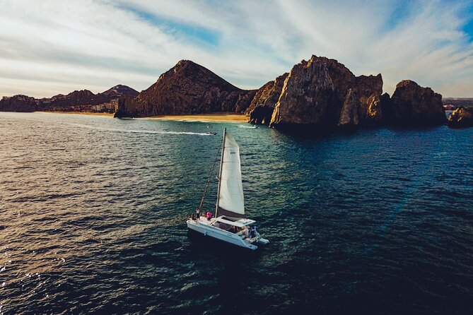 Luxury Whale Watch Cruise to The Arch Los Cabos - Price check: what $95 buys in Cabo, and what costs extra