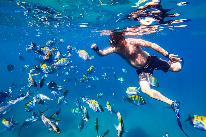 Luxury Yacht & Snorkel with All inclusive Open bar and lunch - Mexican lunch that actually fits the sea-day schedule