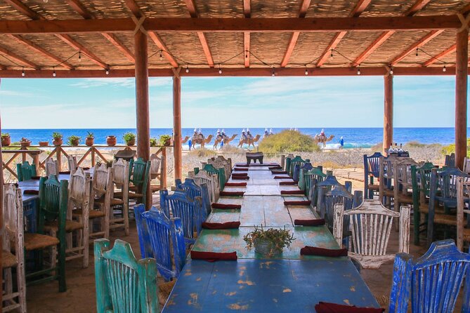 Magical Todos Santos Tour, Camel Ranch, Lunch and Tequila - Who This Tour Fits Best