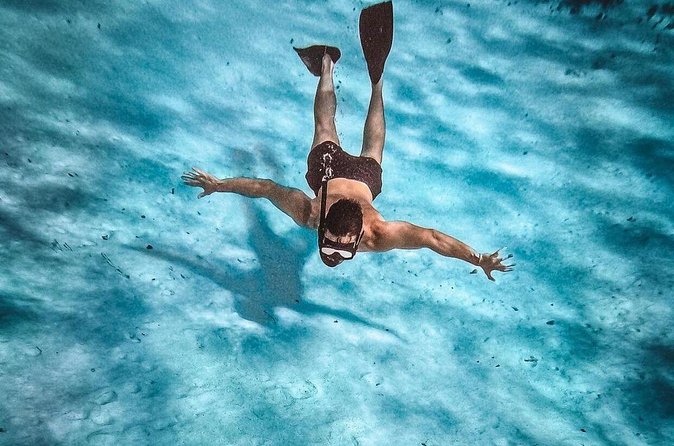 Magnificent Exploration to El Cielo Palancar and Columbia Reefs - Palancar Reef: sea turtles and reef color in your next swim