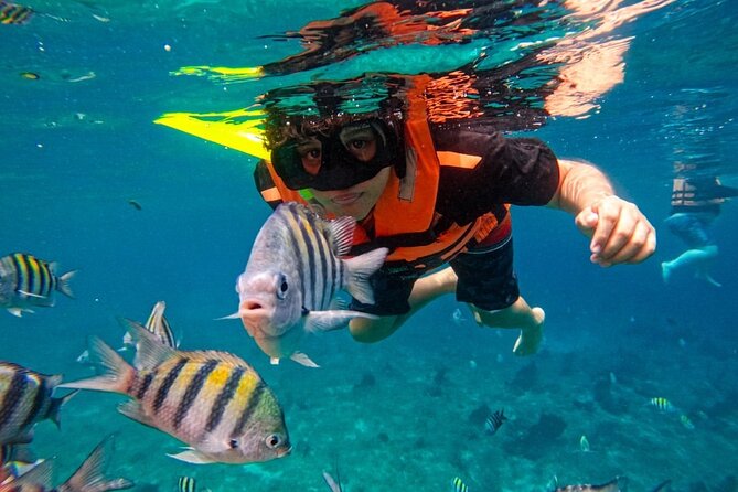 Magnificent Exploration to El Cielo Palancar and Columbia Reefs - Playa El Cielo and El Cielito: starfish, calm water, and manta-ray chances