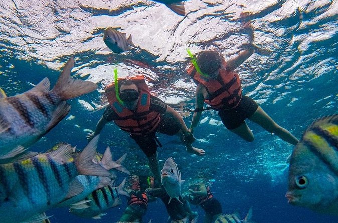 Magnificent Exploration to El Cielo Palancar and Columbia Reefs - Boat ride time and group size: why the day can feel longer
