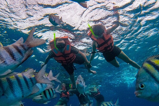 Magnificent Exploration to El Cielo Palancar and Columbia Reefs - Food and drinks: included, but also part of the pacing