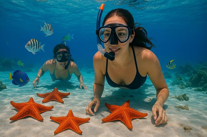 Magnificent Exploration to El Cielo Palancar and Columbia Reefs - Language and guide communication: how to avoid a mismatch