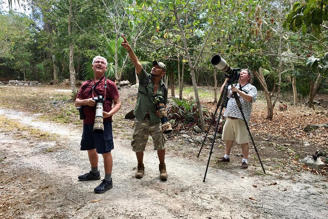 Mahahual and Costa Maya Birdwatching - Price and logistics: why the included stuff matters