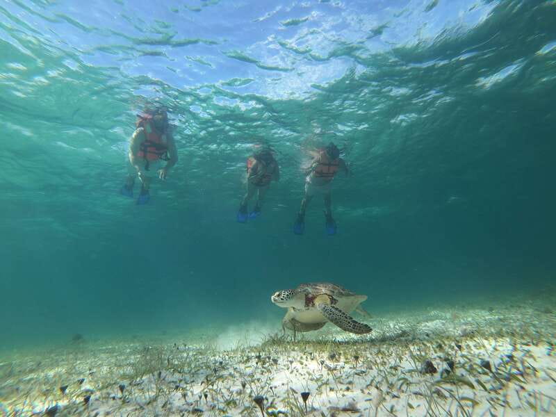 Mahahual: Snorkel Tour in Reef Lagoon - What you get between snorkels: coffee, fruit snack, and small-group pacing