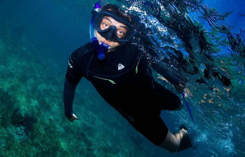 Mahahual: Snorkel Tour in Reef Lagoon - Price and value at about $37 per person
